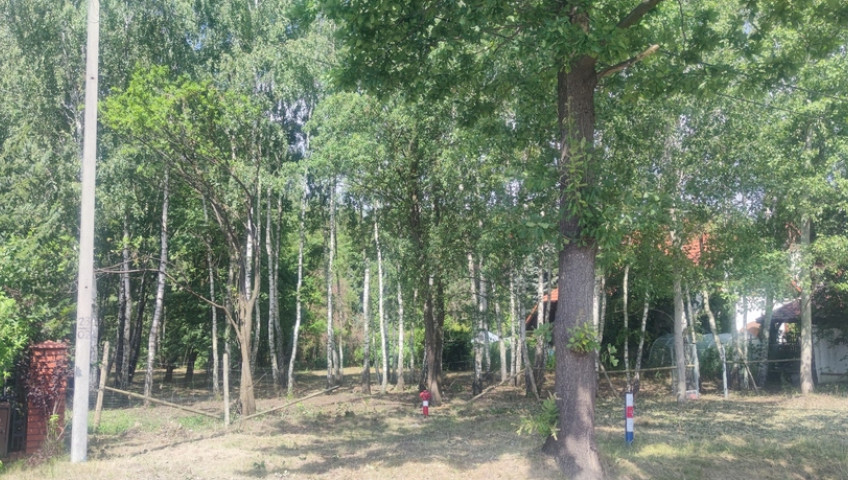 Działka Sprzedaż Borzęcin Duży Spacerowa